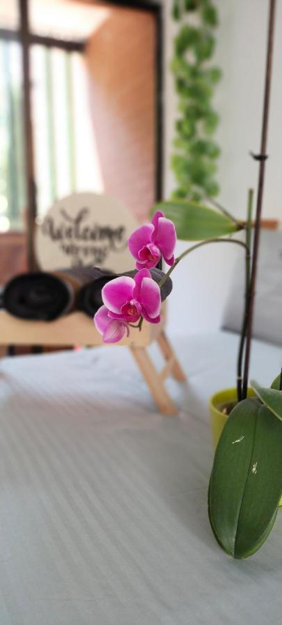 Moradia Laureles Medellin Apartment Luaran gambar